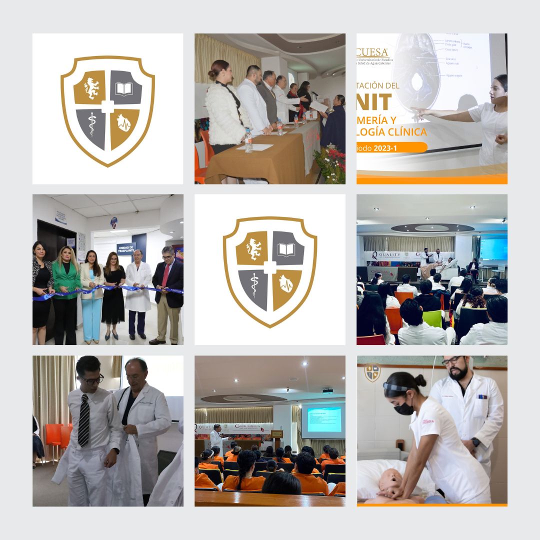 Read more about the article RESUMEN ANUAL CUESA 2023: Donde la educación deja su huella