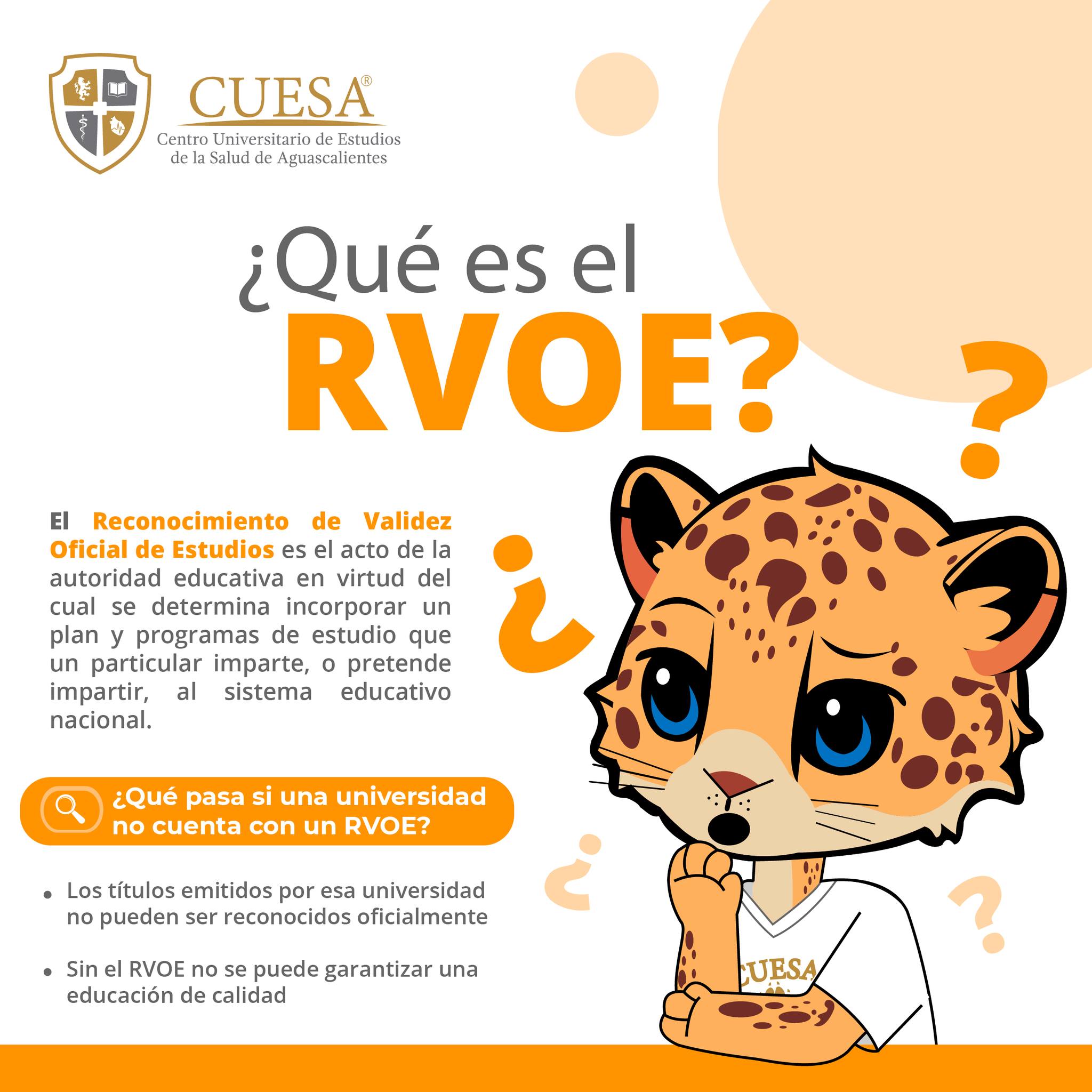 Read more about the article (RVOE): Consecuencias de su ausencia en una universidad